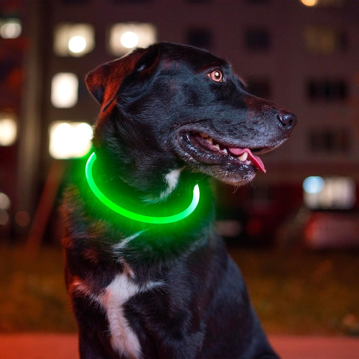 Led Dog Collar,  USB Rechargeable Flash Light up Dog Collar